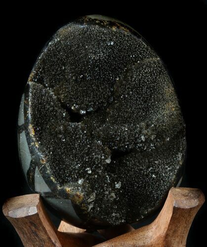 Septarian Dragon Egg Geode - Shiny Black Crystals #34715
